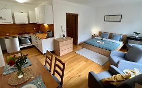 The Apartment Close To The City Center And O2 Arena